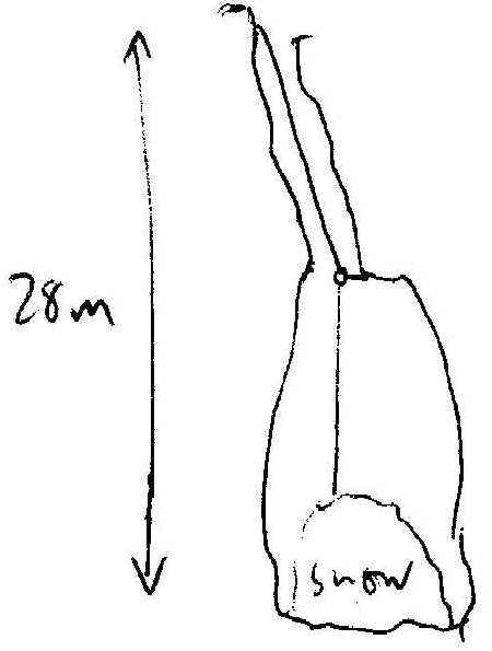 pitch diagram