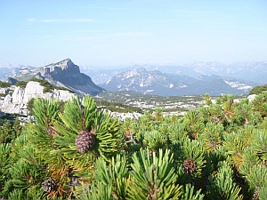 Bunda filling the plateau