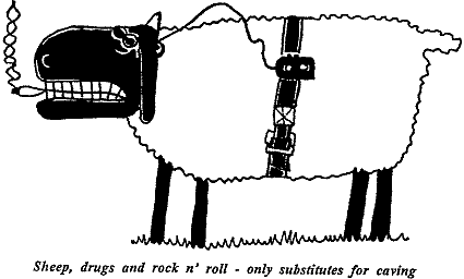 Sheep, drugs and rock'n'roll - only substitutes for caving (6k gif)