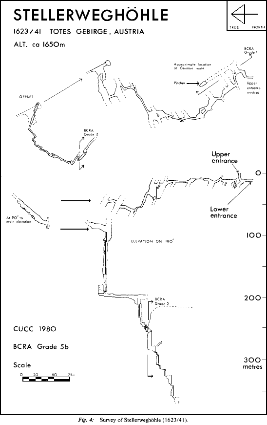 Fig. 4 - 15k gif