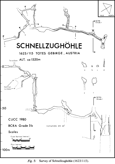 Fig. 5 - 12k gif